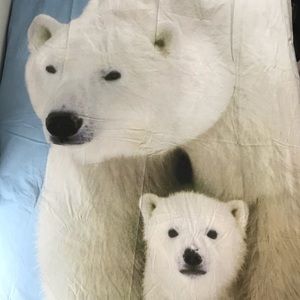 Polar Bear Twin Sized Duvet Comforter Cover